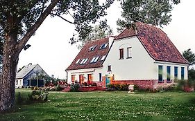 Stara Szkoła Browina